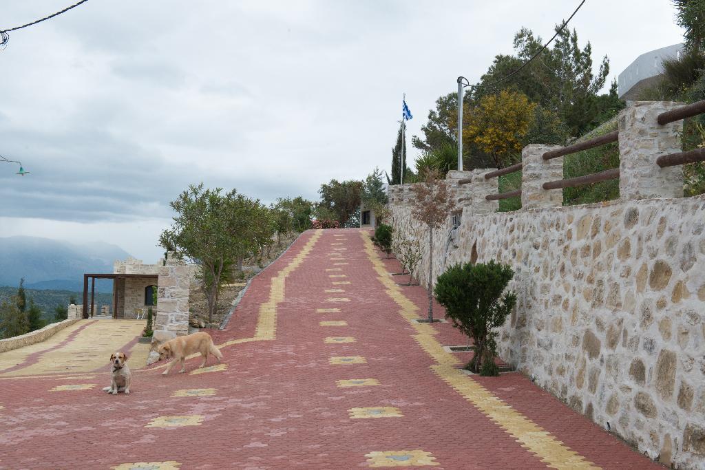 Villas Alexandros Petrino Каламаки Номер фото